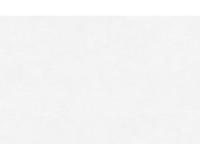 купить A.S.Creation Maistervlies 2020 95329-1