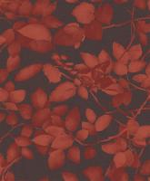 купить Khroma Silence sil-504