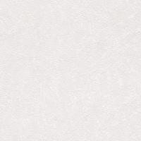 купить Rasch Home Vision 6 433715