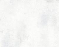 купить A.S.Creation DECOWORLD 953916