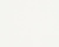 купить A.S.Creation Esprit 9 94148-1