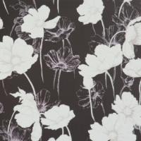 купить BN International Nordic Light 47476