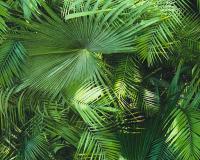 купить A.S.Creation Neue Bude 2.0 36200-1