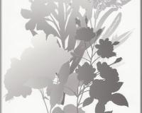 купить A.S.Creation Esprit 7 265838