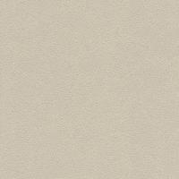 купить Rasch Miracle 2014 421941