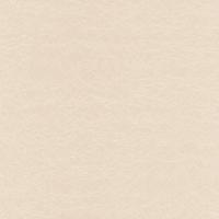 купить P+S International Tresor 42040-80