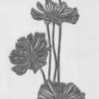 купить P+S International Lacantara 3 13228-50