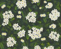 купить A.S.Creation Dekora Natur 6 95932-1