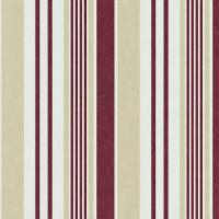 купить P+S International Jewel 42064-70