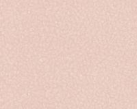 купить A.S.Creation Palila 36311-2