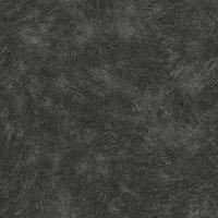 купить Rasch Metal Spirit 2016 588415