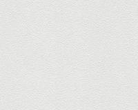 купить A.S.Creation Maistervlies 2020 26041-3