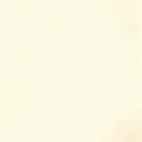 купить Sandudd Hopealehti 4878-2