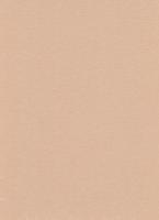 купить Erismann Arezzo 5133-50