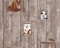 купить A.S.Creation Little Stars 35842-2