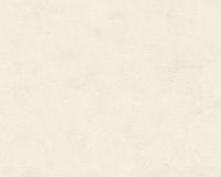 купить A.S.Creation Kind of white 34079-5