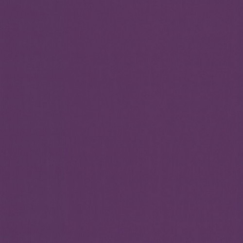 купить P+S International Crispy 03881-52