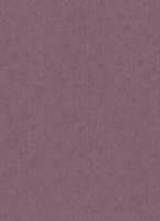 купить Erismann BasiXs 6488-45