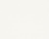 купить A.S.Creation Surfing and Sailing 276131