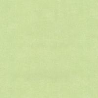 купить P+S International 4ever 02331-40