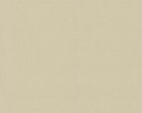 купить A.S.Creation Squared 871039