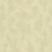 купить A.S.Creation Triumph 30360-1