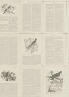 купить Rasch Lazy Sunday 2 401615 купить Rasch Lazy Sunday 2 401615