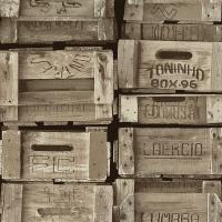 купить P+S International Times 42108-30