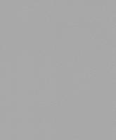 купить Rasch Shiny Chic 798739