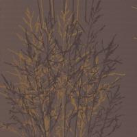купить Erismann Senses 2013 5722-11