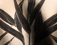 купить A.S.Creation Chroma 176523