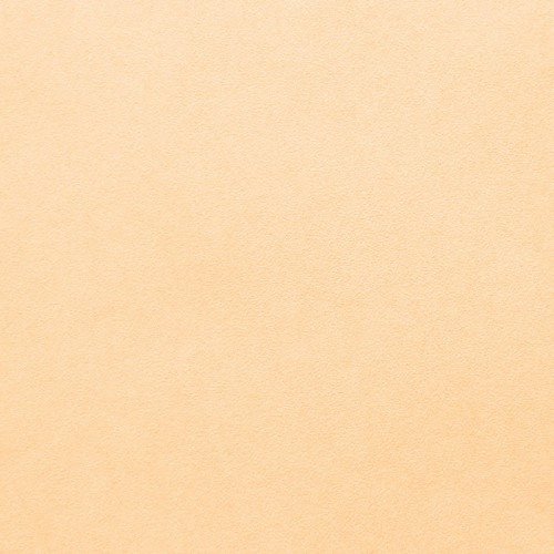 купить Erismann Fantasia 7292-02