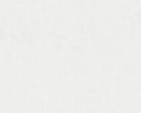 купить A.S.Creation Maistervlies 2020 35454-1