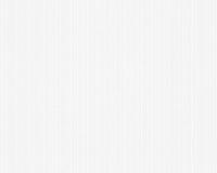 купить A.S.Creation Maistervlies 2020 92751-4