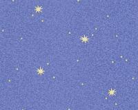 купить A.S.Creation Dekora Natur 6 9117-11