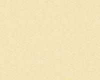 купить A.S.Creation Exotic Life 372845