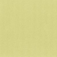 купить P+S International Tresor 2015 02281-40