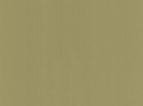 купить Graham & Brown Spirit 50-060