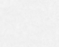 купить A.S.Creation Neue Bude 2.0 36206-1