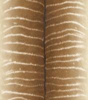 купить Rasch African Queen 2 473520