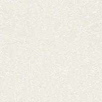 купить Rasch Home Vision 6 433746