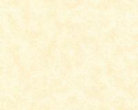 купить A.S.Creation Change 129161