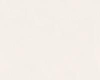 купить A.S.Creation Spot 3 2965-11