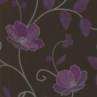 купить P+S International Tresor 42041-60