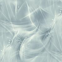 купить Rasch Maximum XIII 936421