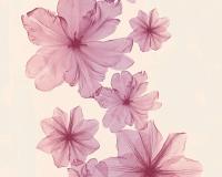 купить A.S.Creation X-Ray 34272-3