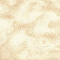 купить Rasch V. Stenova 907407/188072