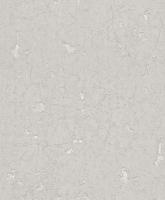 купить Rasch Modern Surfaces 860016