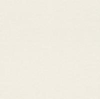 купить Rasch Cosy White 2015 269368