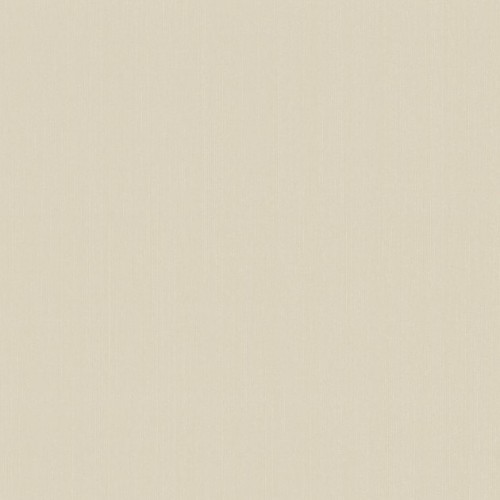 купить P+S International Delight 03882-60